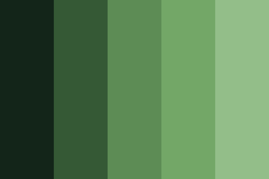 เฉดสีเขียว (Shade Of Green) - Jahnnoom.Com
