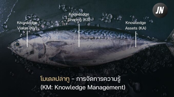 โมเดลปลาทู