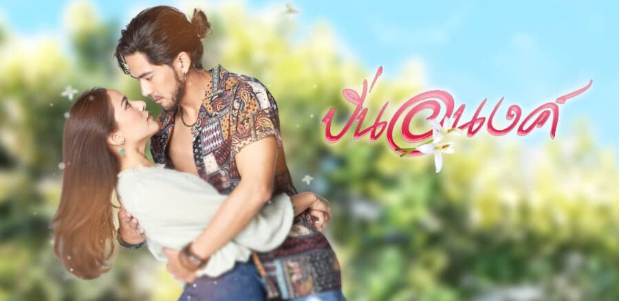 ดูละครย้อนหลัง ปิ่นอนงค์ (2569) การพบกันครั้งแรกของ เต้ย พงศกร และ พรีม รณิดา